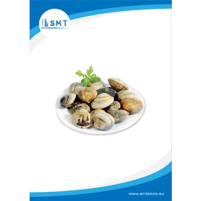 Vongole Con Guscio Marroni 40/60 10x1kg