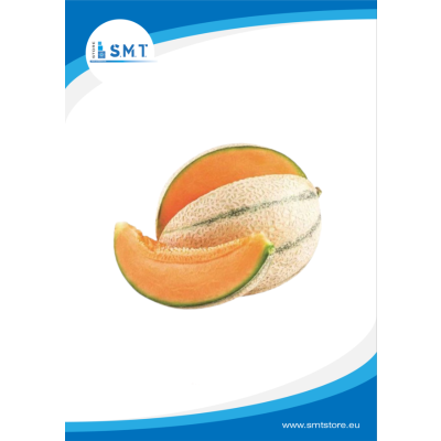 Melone Cantalupo Battipaglia Cassa da 10-11 Kg min